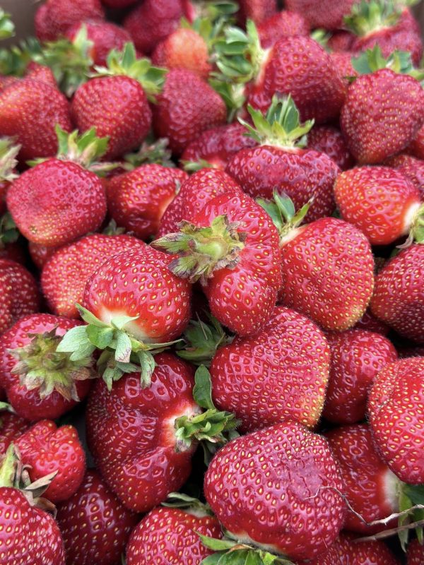 Pre-Picked Strawberries - By The Pound - Image 6