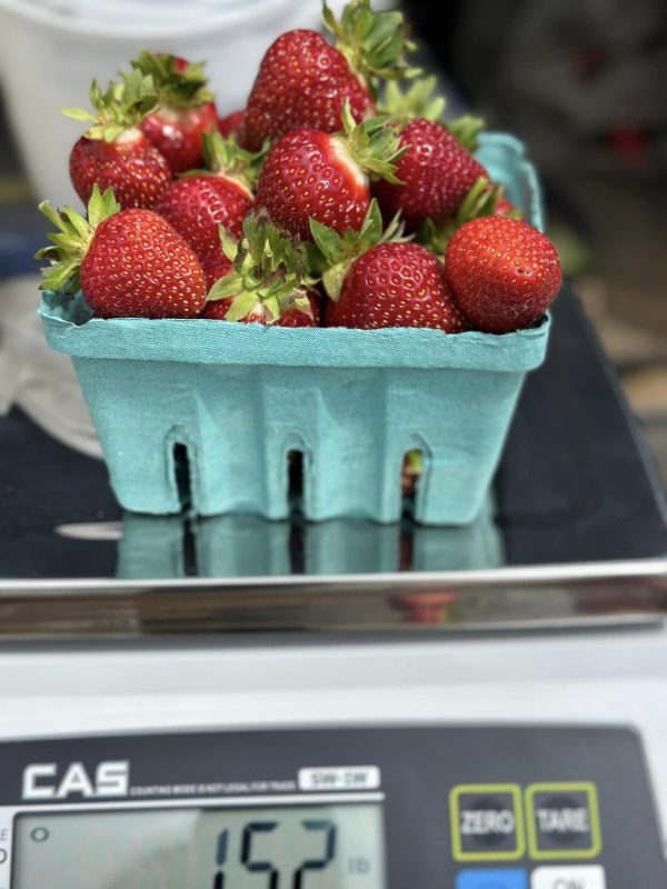 Pre-Picked Strawberries - By The Pound
